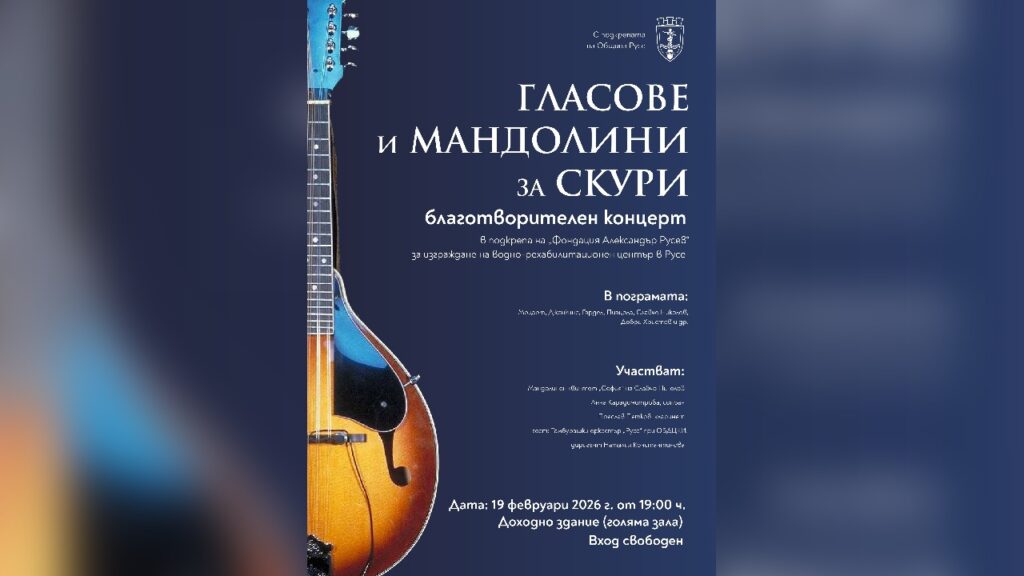 Плакат на концерт с благотворителна кауза