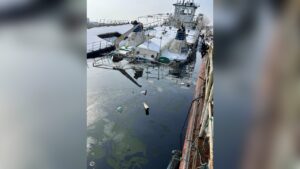 Разливи на нефтопродукти в Дунав
