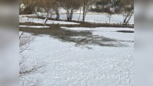 Нивото на река Русенски Лом край Красен
