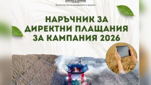 Наръчник за директни плащания 2026