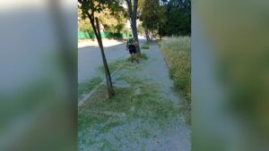 Косене на тревни площи в Русе.