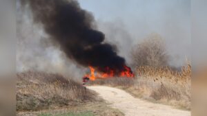 Пожари в защитени зони около Русе