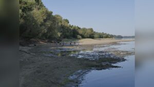 Русенският музей организира акция за доброволци край Дунав.