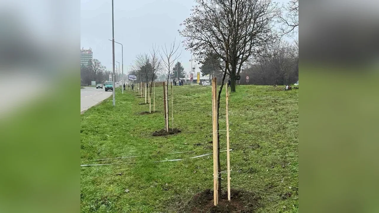 Зелените пространства в Русе ще растат.