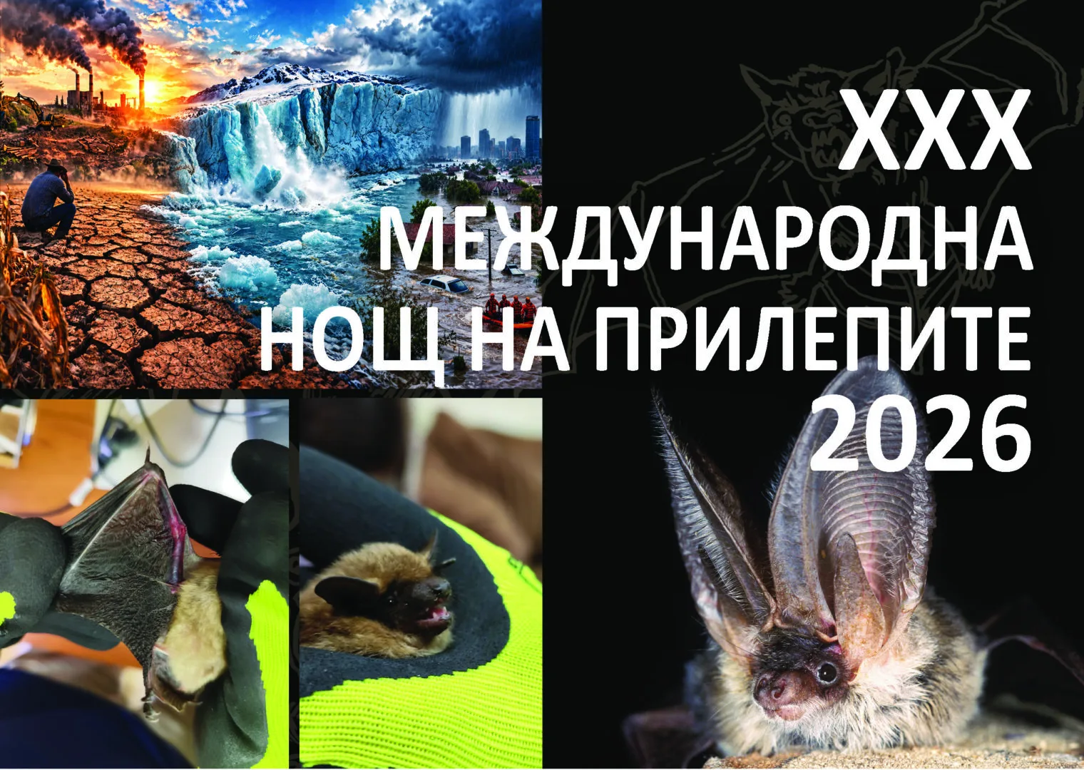 Плакат на "Нощ на прилепите"