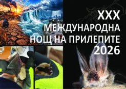 Плакат на "Нощ на прилепите"