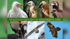 Русенският музей празнува Международния ден на лешоядите